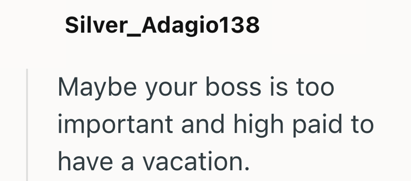 Silver_Adagio138 Maybe your boss is too important and high paid to have a vacation.
