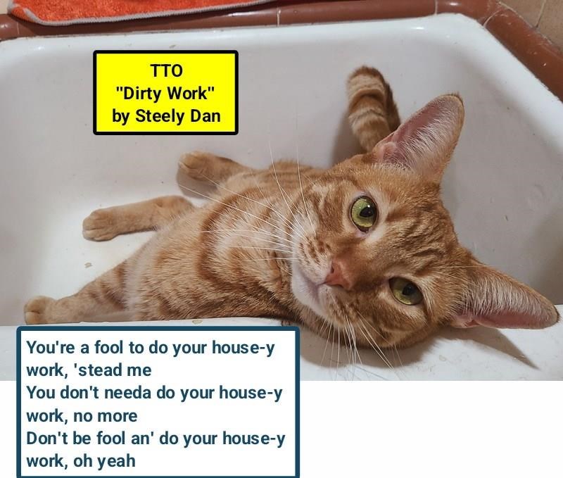 Cheezburger Image 10616016896