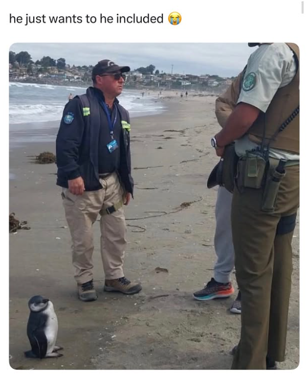 he just wants to he included