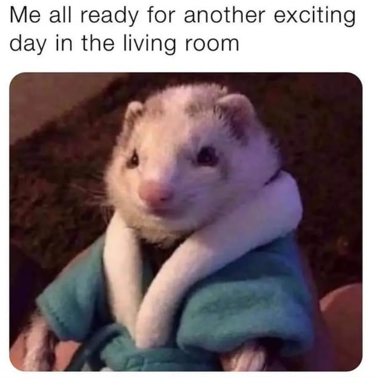 Me all ready for another exciting day in the living room.