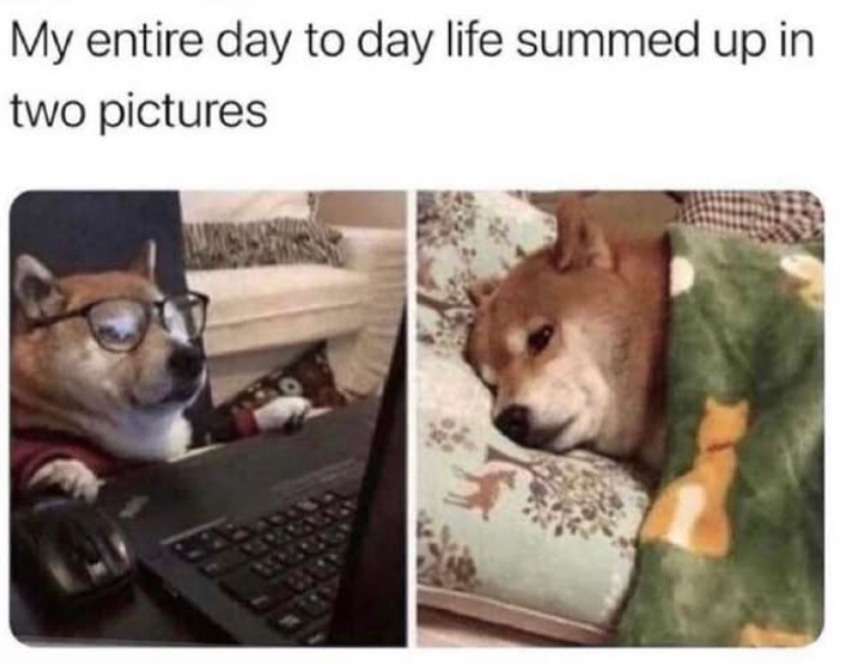 My entire day to day life summed up in two pictures