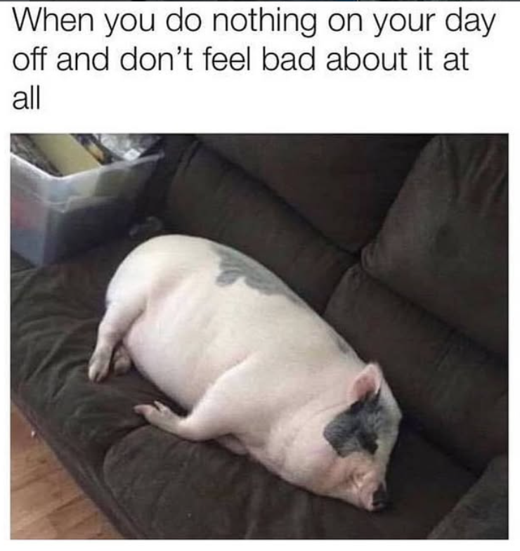 When you do nothing on your day off and don't feel bad about it at all