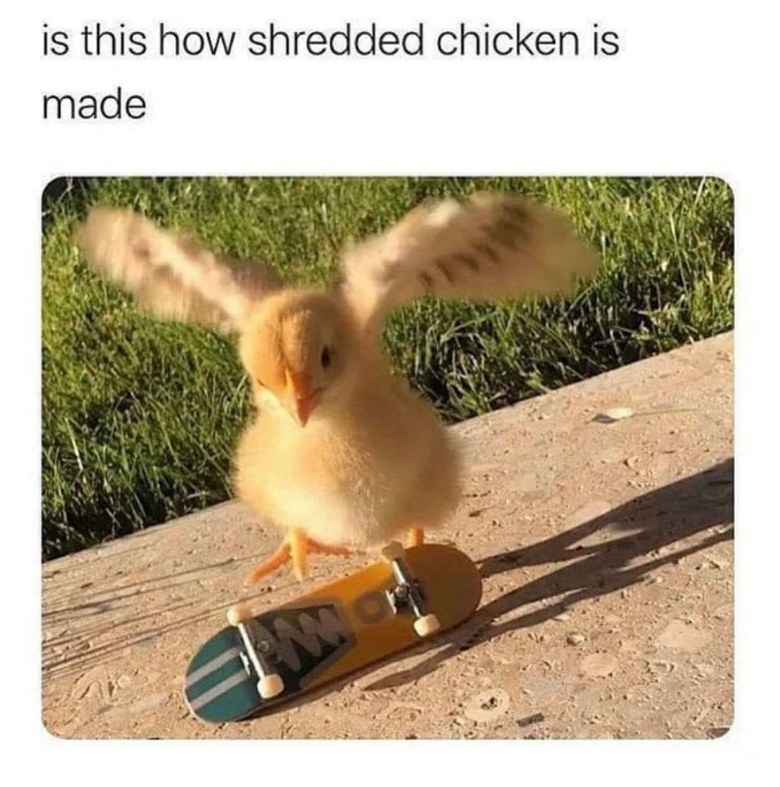 is this how shredded chicken is made