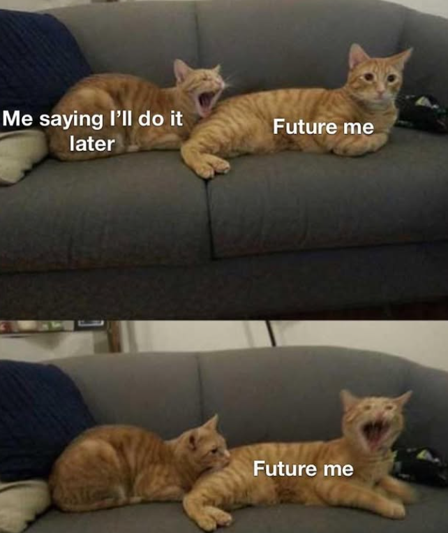 Me saying I'll do it later Future me Future me
