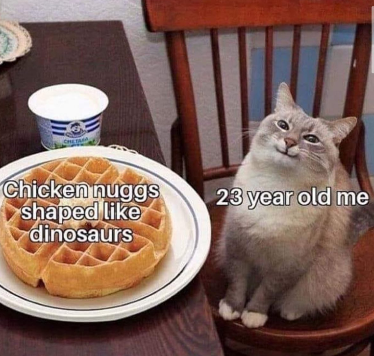 CHETANA Chicken nuggs shaped like dinosaurs 23 year old me