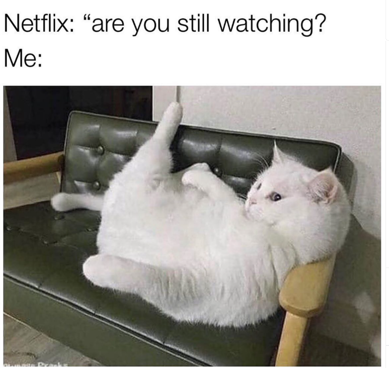 Netflix: "are you still watching? Me: