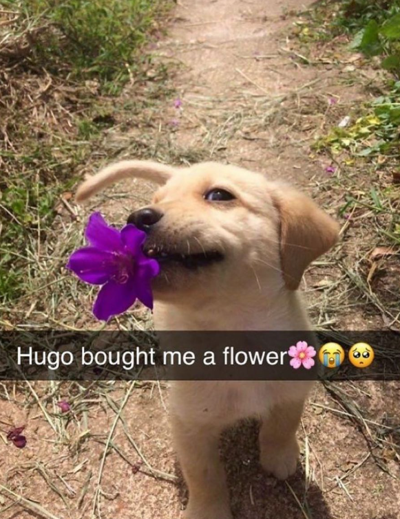 Hugo bought me a flower