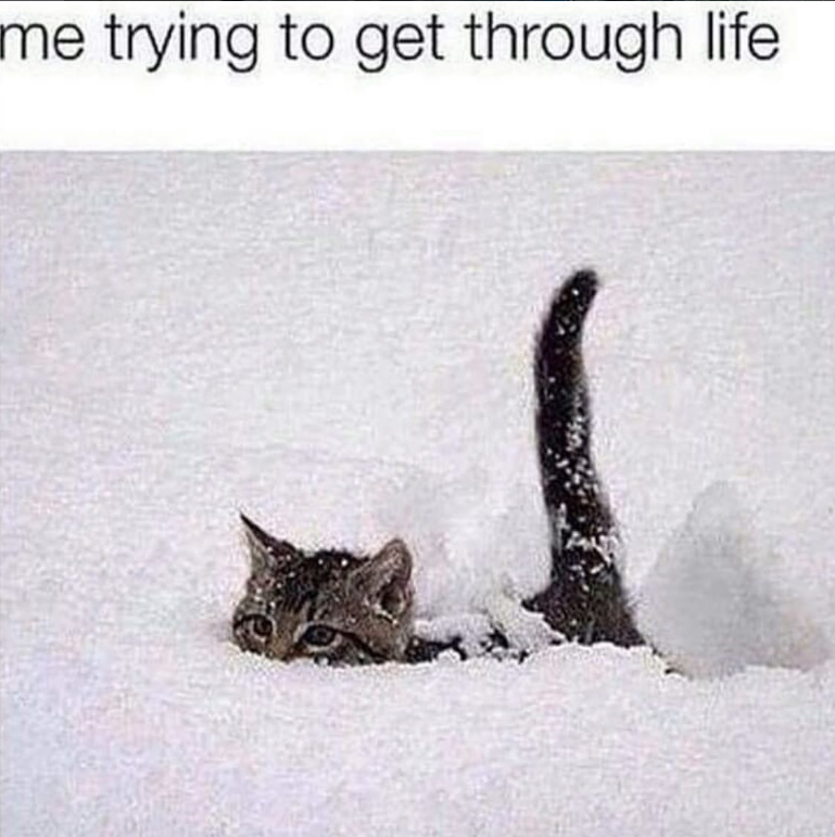 me trying to get through life