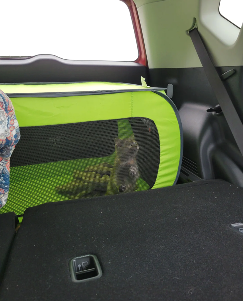 Cheezburger Image 10616027648