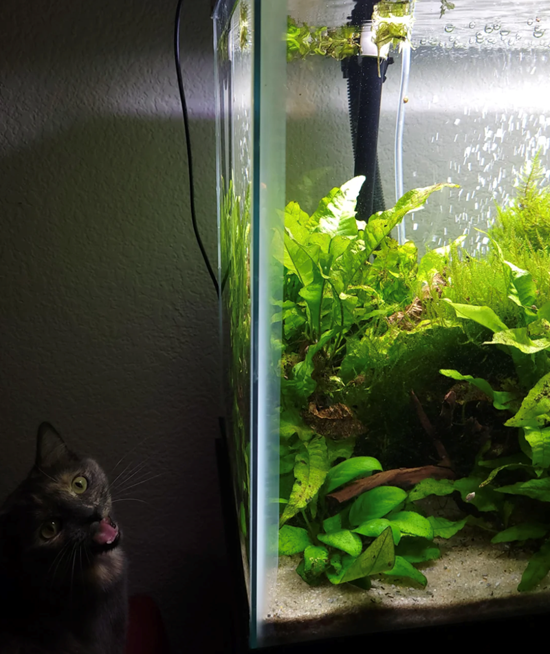 Cheezburger Image 10616028928