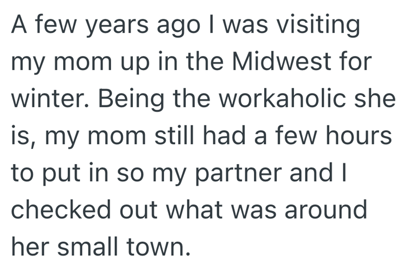 A few years ago I was visiting my mom up in the Midwest for winter. Being the workaholic she is, my mom still had a few hours to put in so my partner and I checked out what was around her small town.