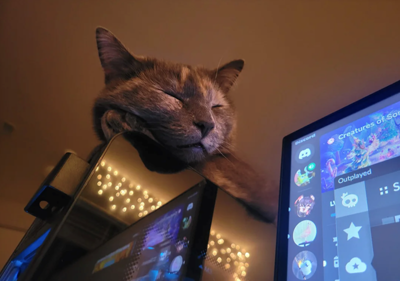 Discord Creatures of So Outplayed S