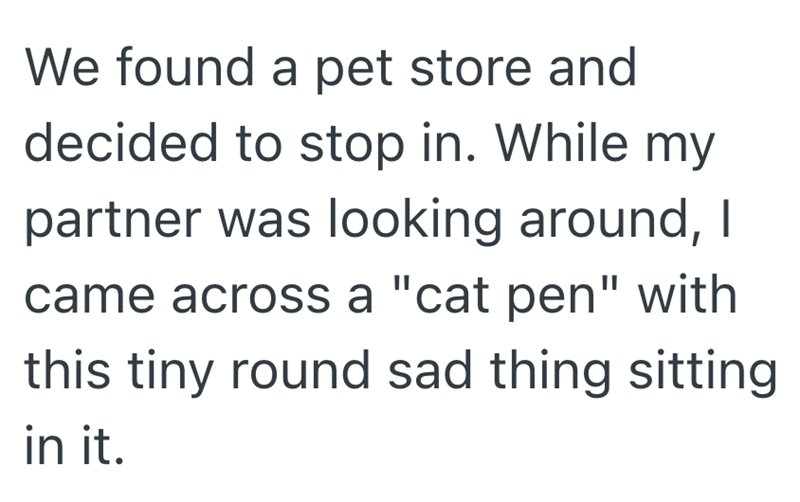 We found a pet store and decided to stop in. While my partner was looking around, I came across a "cat pen" with this tiny round sad thing sitting in it.