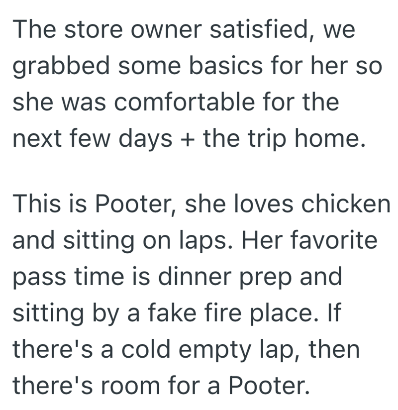 The store owner satisfied, we grabbed some basics for her so she was comfortable for the next few days + the trip home. This is Pooter, she loves chicken and sitting on laps. Her favorite pass time is dinner prep and sitting by a fake fire place. If there's a cold empty lap, then there's room for a Pooter.