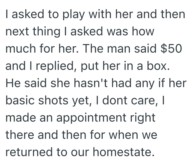 I asked to play with her and then next thing I asked was how much for her. The man said $50 and I replied, put her in a box. He said she hasn't had any if her basic shots yet, I dont care, | made an appointment right there and then for when we returned to our homestate.