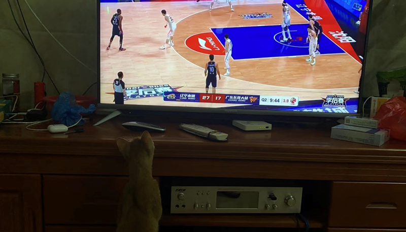 SKIN-17 10 RAMQ2|9:44 3.9 LIAD NING 27 17 GOANG 2419 Skywom YAUA 季后赛