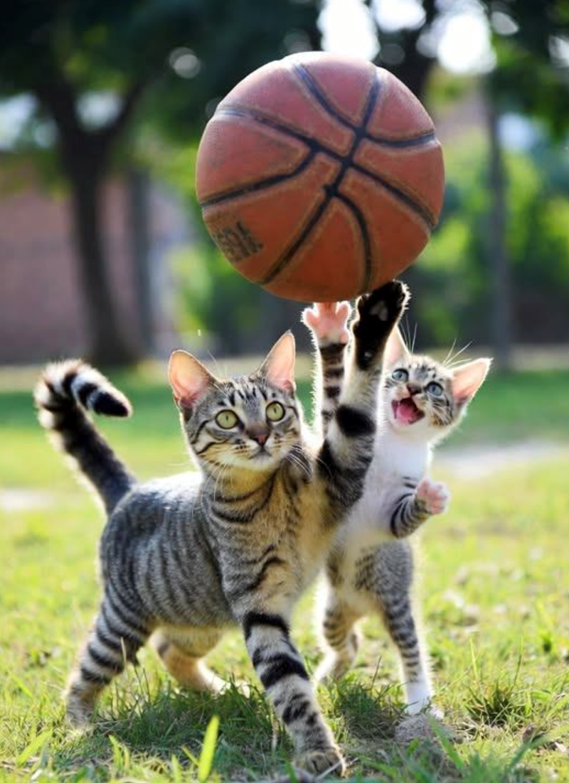 Cheezburger Image 10616035840