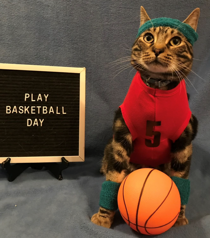 PLAY BASKETBALL DAY 5