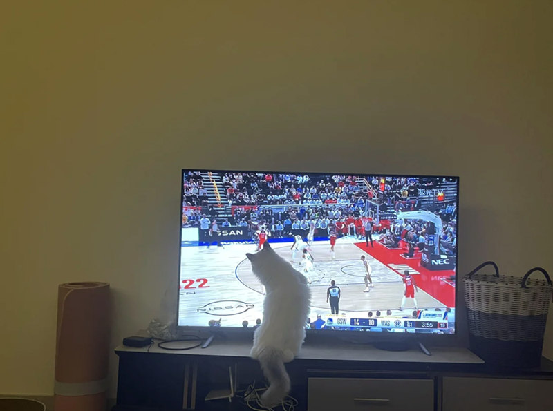 :SSAN 22 “极光T区: NEC ик GSW 14-10 WAS ST 3:55 19