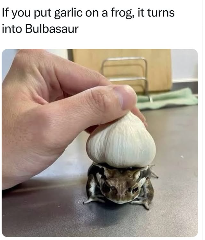 If you put garlic on a frog, it turns into Bulbasaur