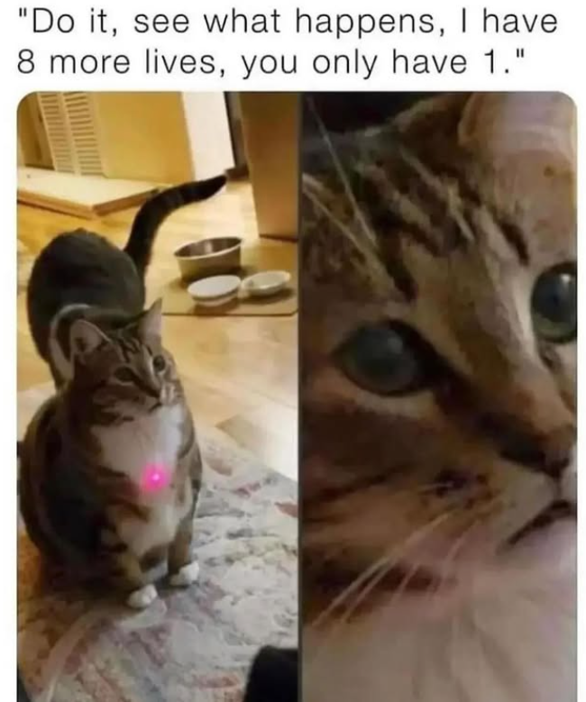 "Do it, see what happens, I have 8 more lives, you only have 1."