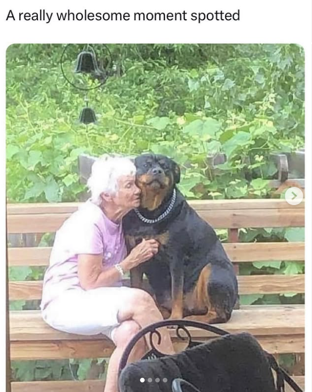 A really wholesome moment spotted