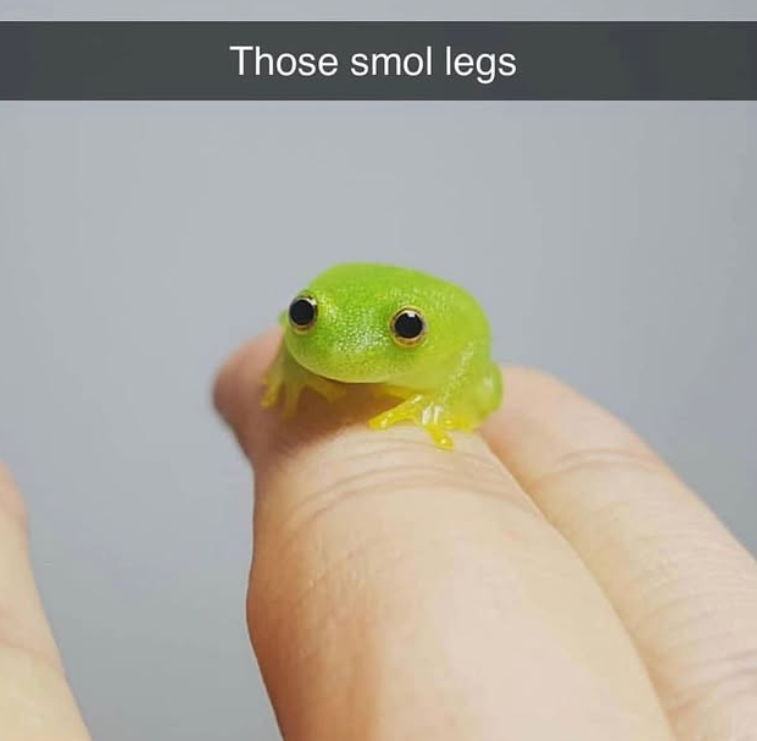 Those smol legs