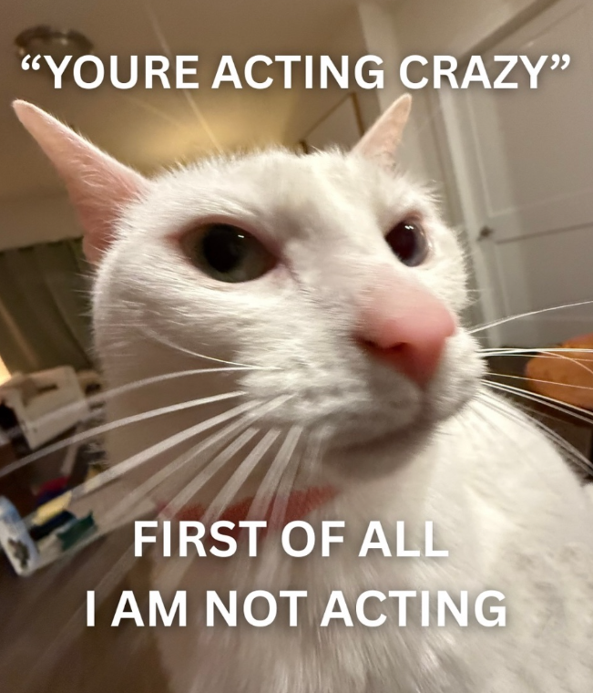 "YOURE ACTING CRAZY" FIRST OF ALL I AM NOT ACTING