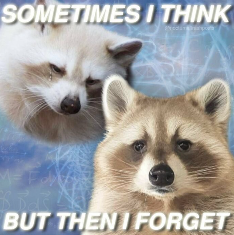 SOMETIMES I THINK @nocturnaltrashposts म me M= BUT THEN FORGET