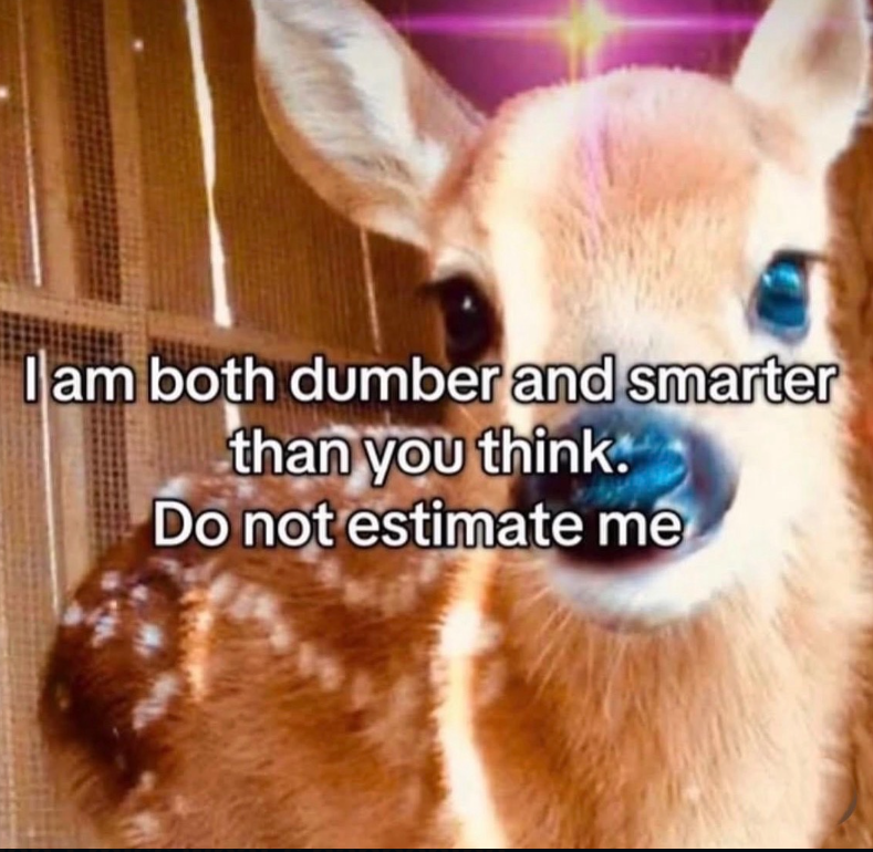 I am both dumber and smarter than you think. Do not estimate me
