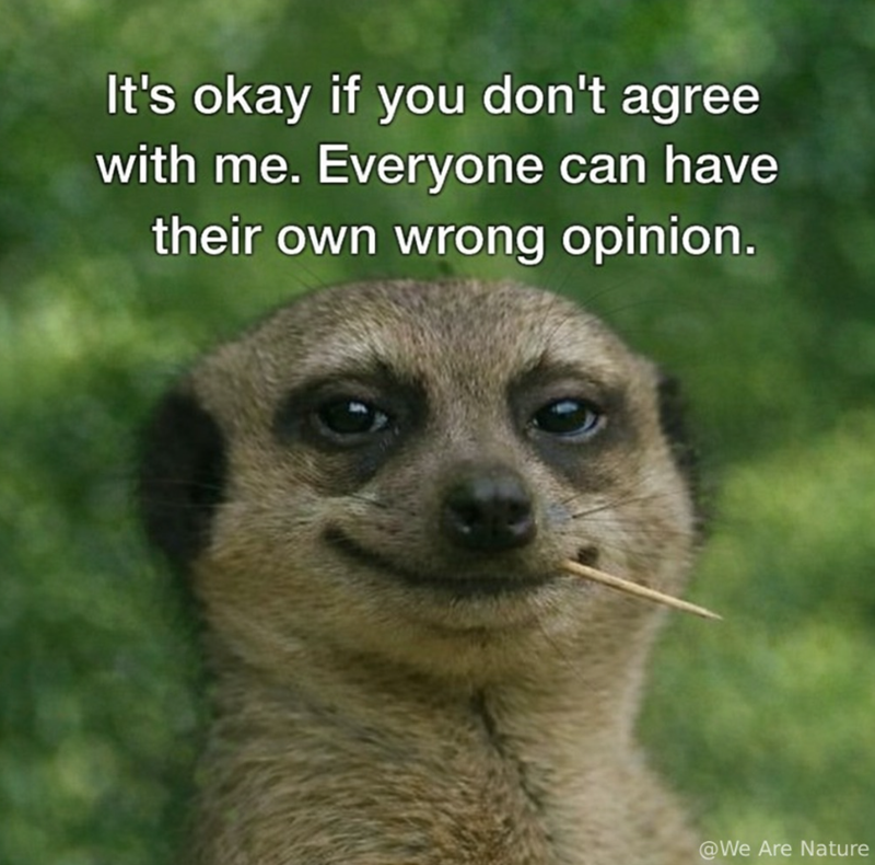 It's okay if you don't agree with me. Everyone can have their own wrong opinion. @We Are Nature