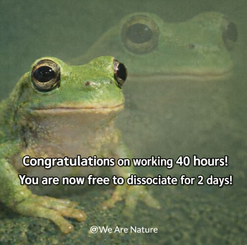 Congratulations on working 40 hours! You are now free to dissociate for 2 days! @We Are Nature