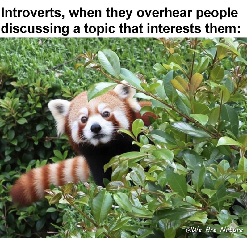Introverts, when they overhear people discussing a topic that interests them: @We Are Nature