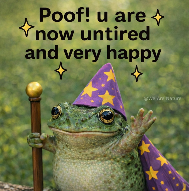 + Poof! u are now untired and very happy @We Are Nature