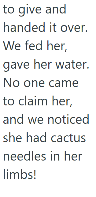 to give and handed it over. We fed her, gave her water. No one came to claim her, and we noticed she had cactus needles in her limbs!