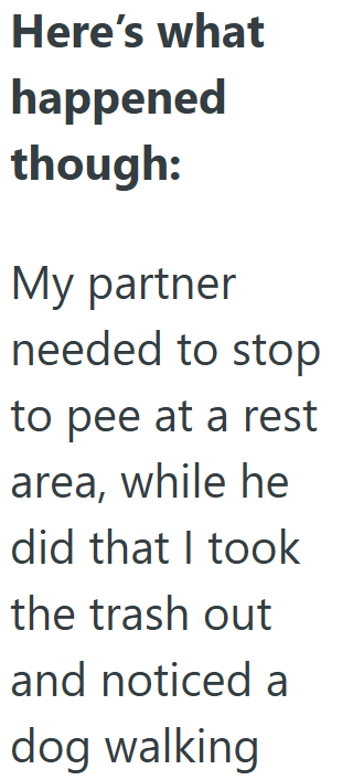 Here's what happened though: My partner needed to stop to pee at a rest area, while he did that I took the trash out and noticed a dog walking