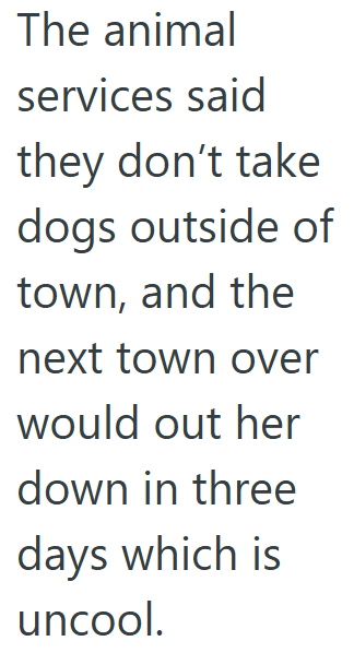 The animal services said they don't take dogs outside of town, and the next town over would out her down in three days which is uncool.
