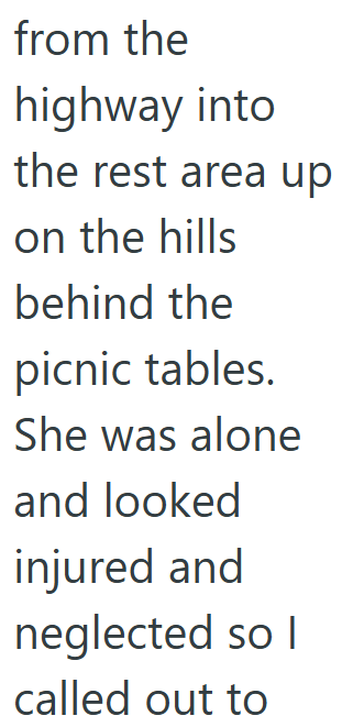 from the highway into the rest area up on the hills behind the picnic tables. She was alone and looked injured and neglected so I called out to