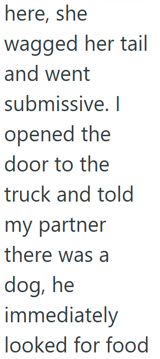 here, she wagged her tail and went submissive. I opened the door to the truck and told my partner there was a dog, he immediately looked for food