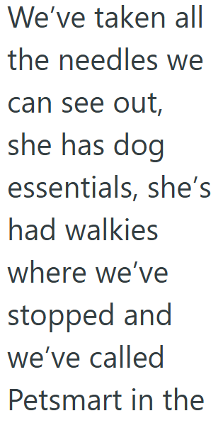 We've taken all the needles we can see out, she has dog essentials, she's had walkies where we've stopped and we've called Petsmart in the