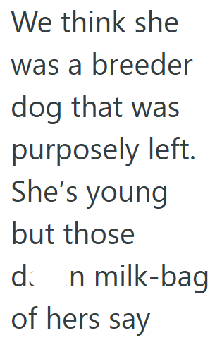 We think she was a breeder dog that was purposely left. She's young but those dan milk-bag of hers say