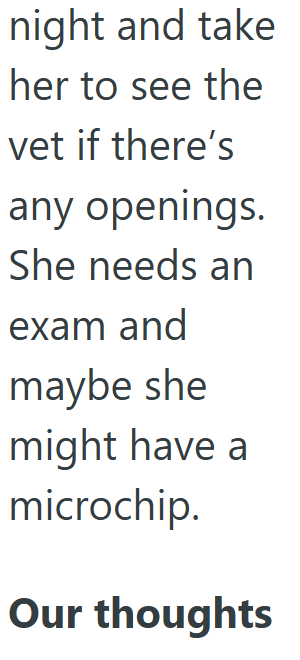 night and take her to see the vet if there's any openings. She needs an exam and maybe she might have a microchip. Our thoughts