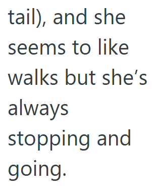 tail), and she seems to like walks but she's always stopping and going.