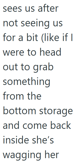 sees us after not seeing us for a bit (like if I were to head out to grab something from the bottom storage and come back inside she's wagging her