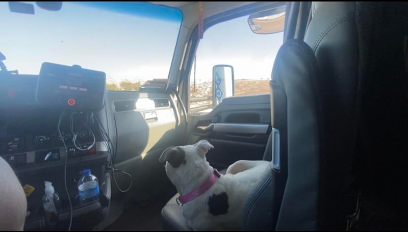 Cheezburger Image 10616049408