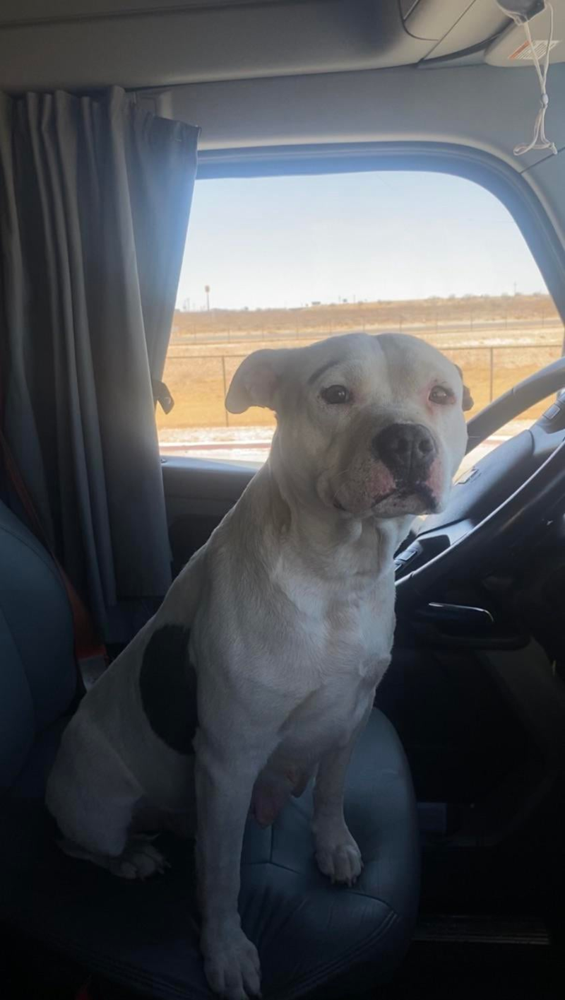 Cheezburger Image 10616049920