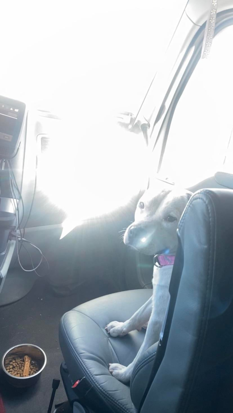 Cheezburger Image 10616050176