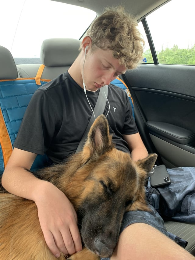 Cheezburger Image 10616051456