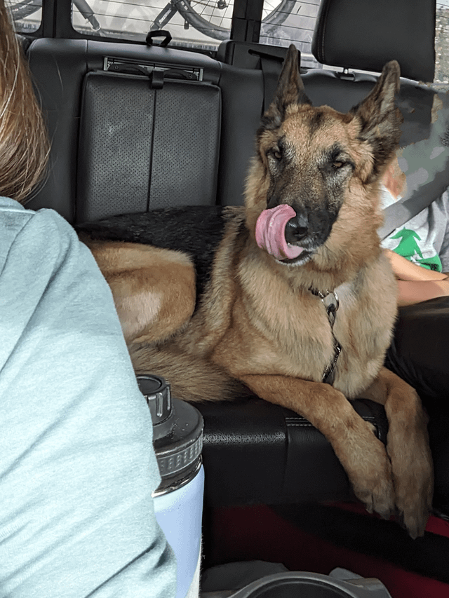 Cheezburger Image 10616051712