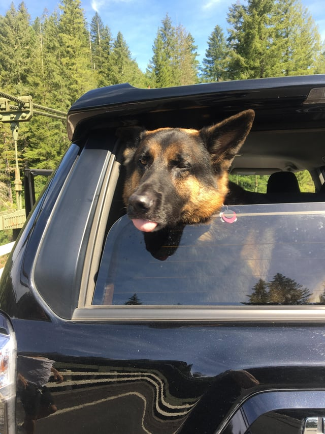 Cheezburger Image 10616052480